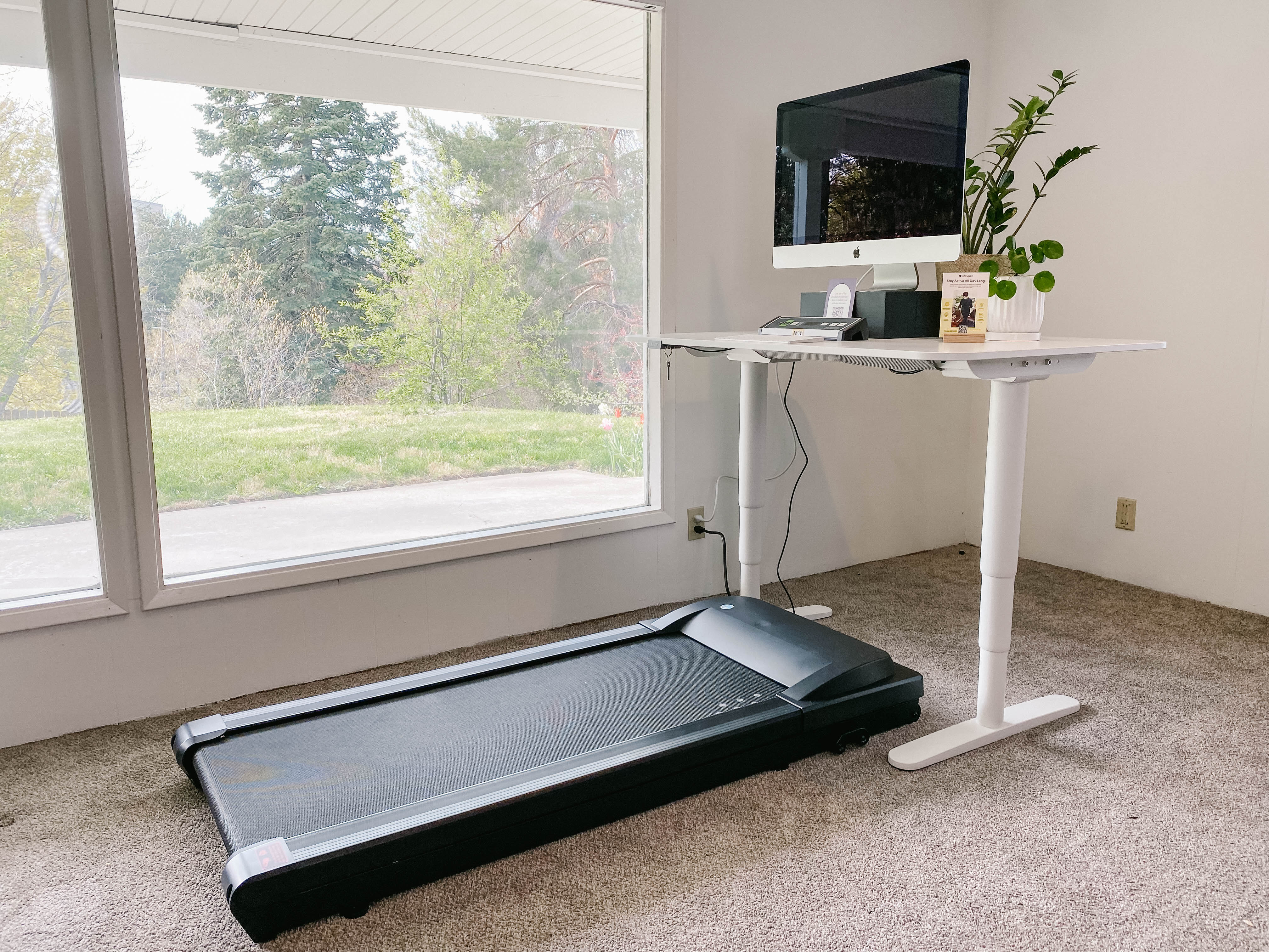 Do Treadmill Desks Work? LifeSpanFitness