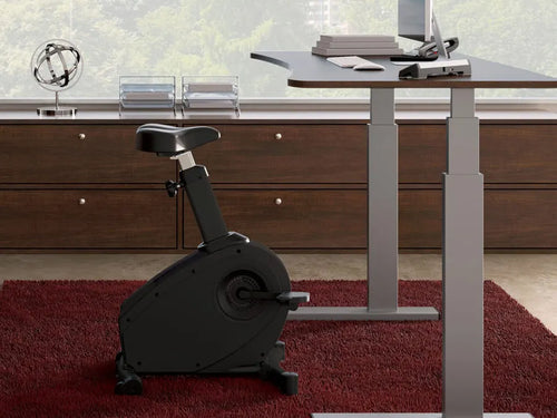 buying a bike desk