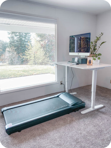 Treadmill Desk